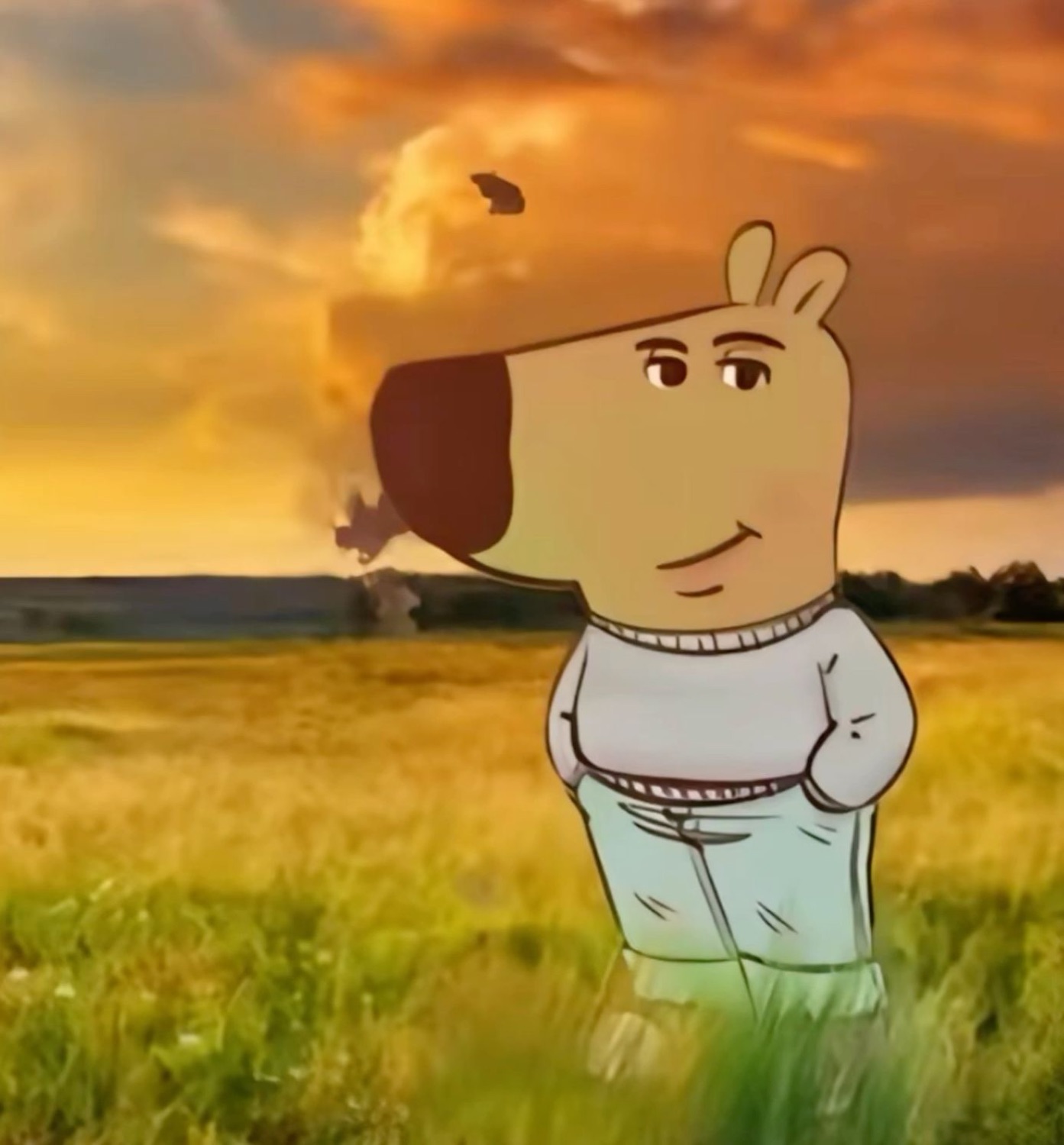 Chill Guy, the cartoon dog in a grey sweater, standing calmly in a golden field at sunset