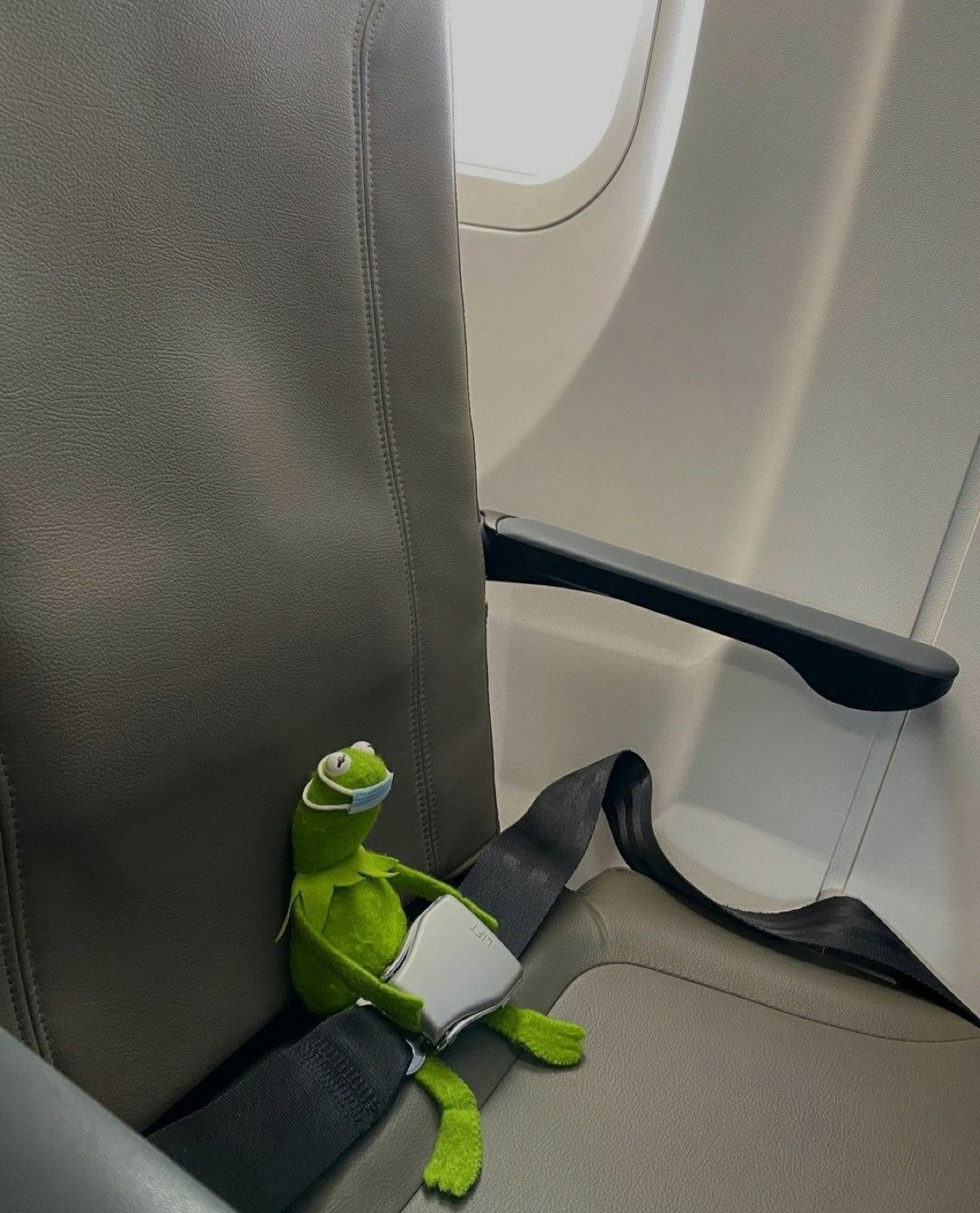 Kermit plush sitting in an airplane seat by the window