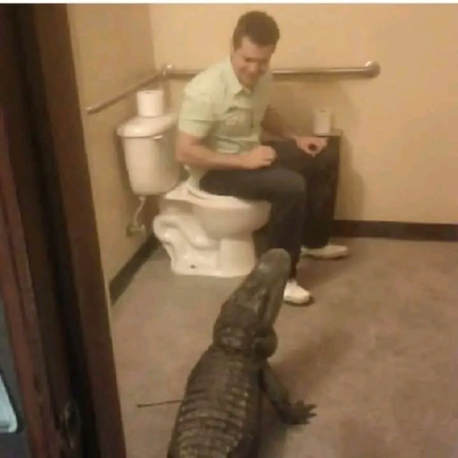 Man sitting on a toilet staring down at an alligator wandering into the bathroom