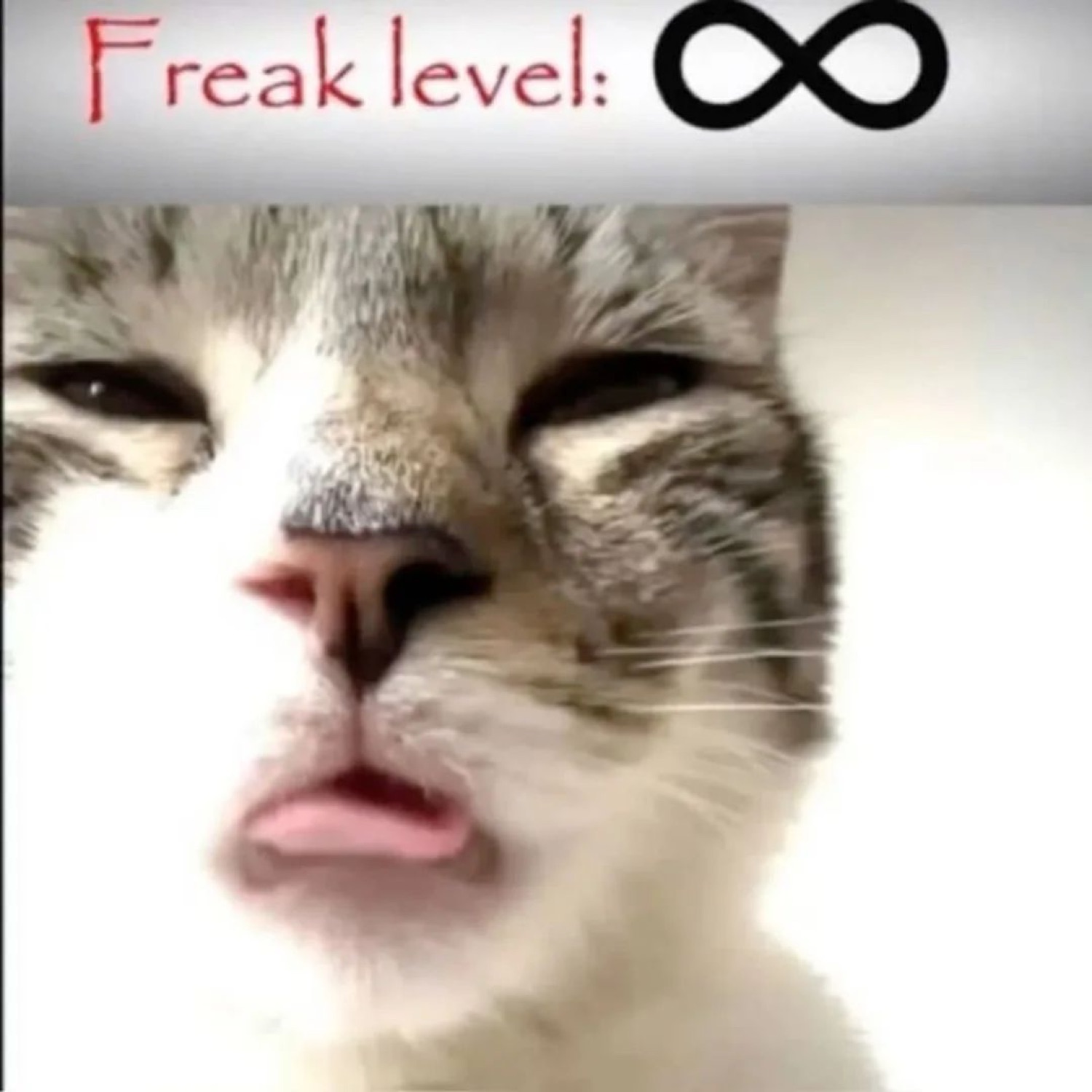 Squinting cat with a smug open-mouth face captioned 'Freak level: infinity'