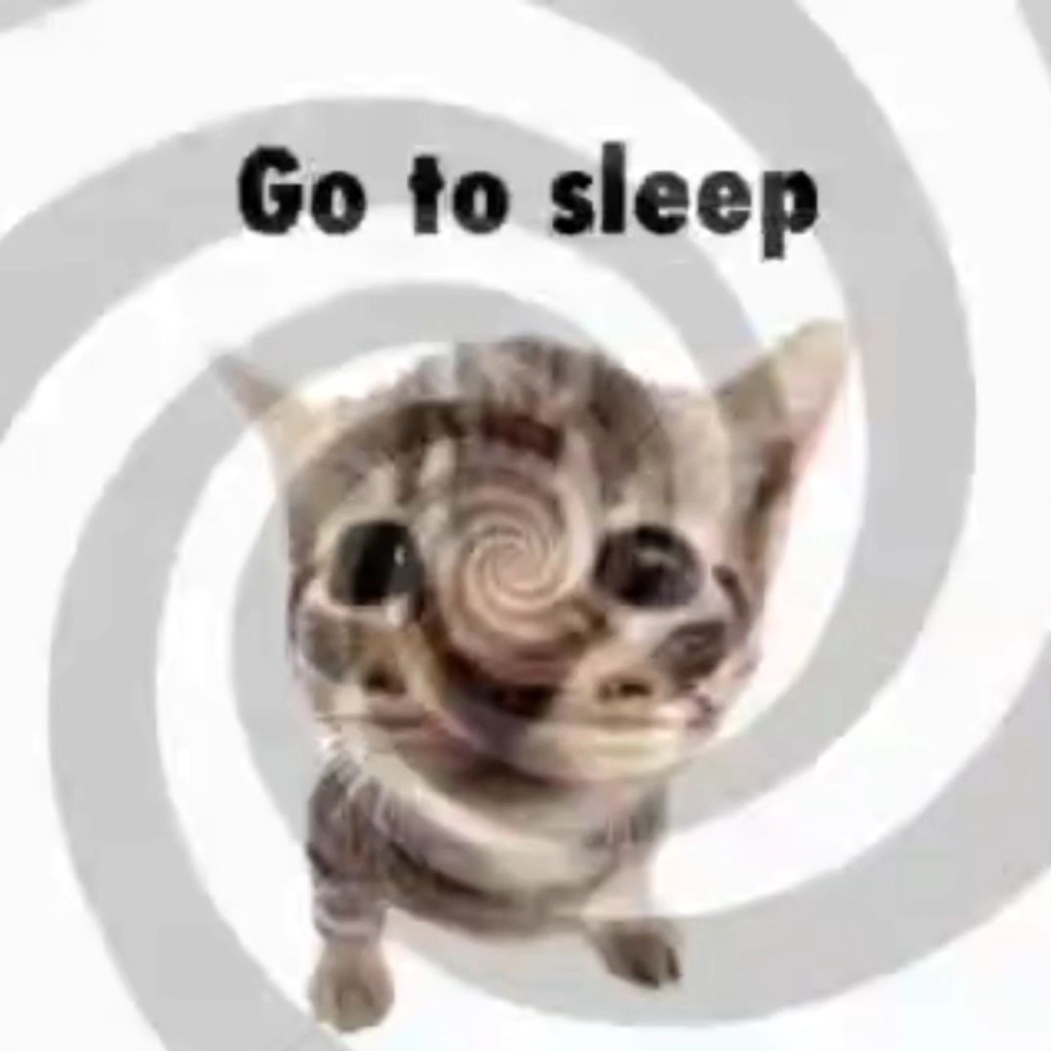 Kitten with hypnotic spiral eyes over a swirl background captioned 'Go to sleep'