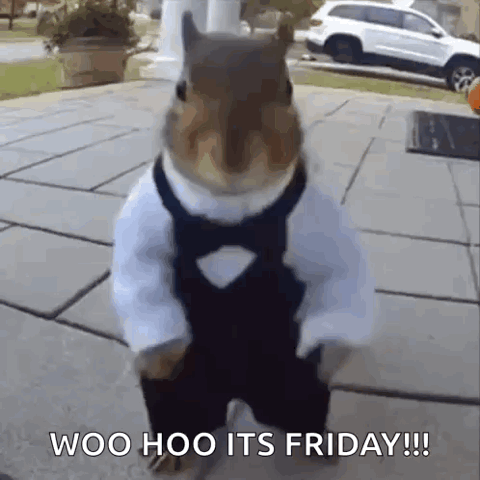 Squirrel in a tuxedo dancing on the sidewalk, "Woo hoo its Friday!!!"