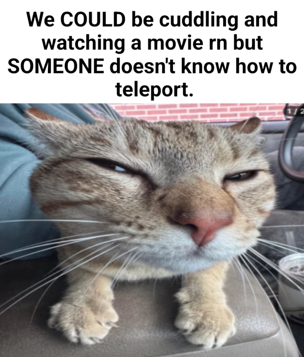 Squinting grumpy cat captioned 'We COULD be cuddling... but SOMEONE doesn't know how to teleport'