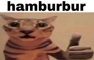 Wide-eyed cat giving a thumbs up over the caption 'hamburbur'