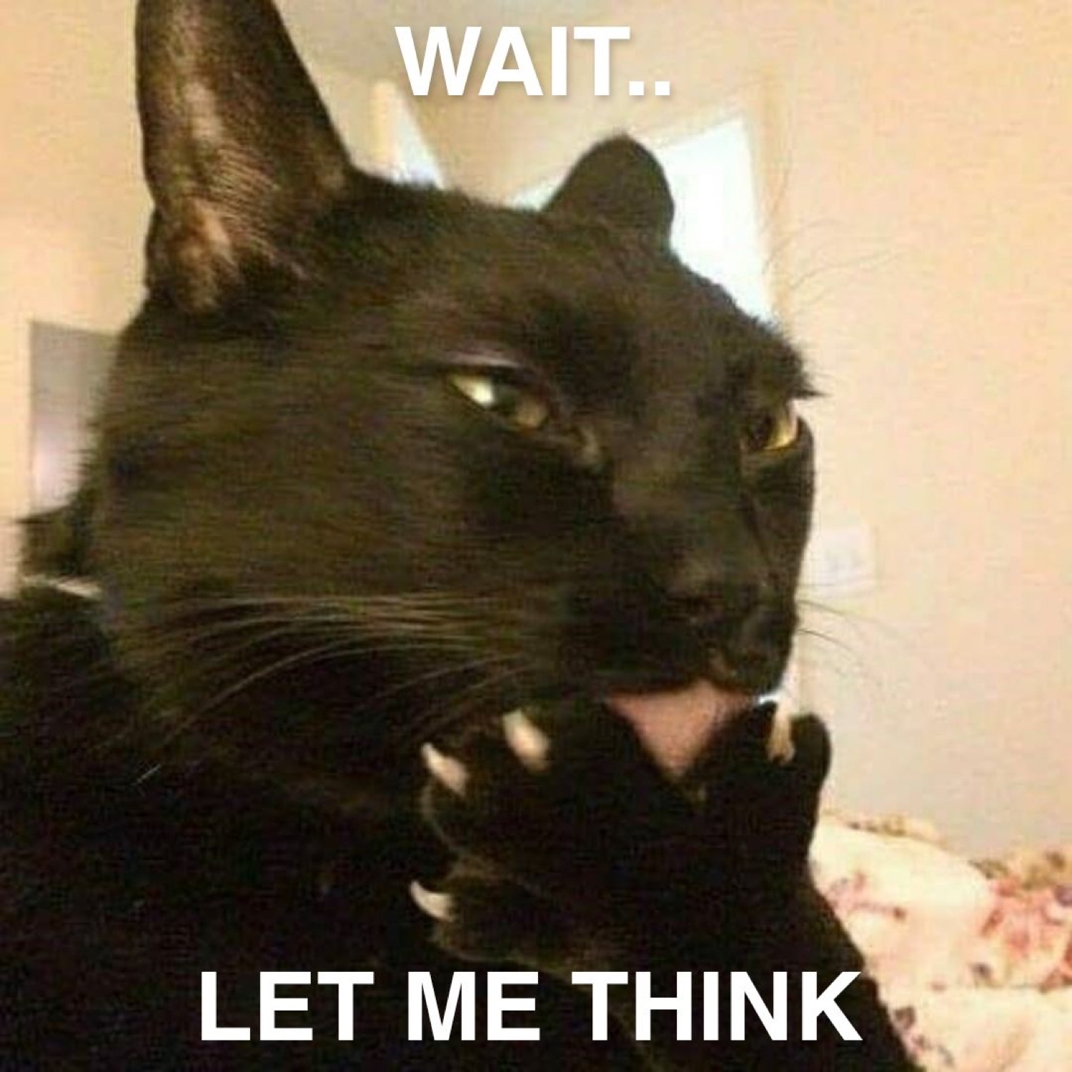Black cat squinting with a paw on its chin under 'WAIT.. LET ME THINK'