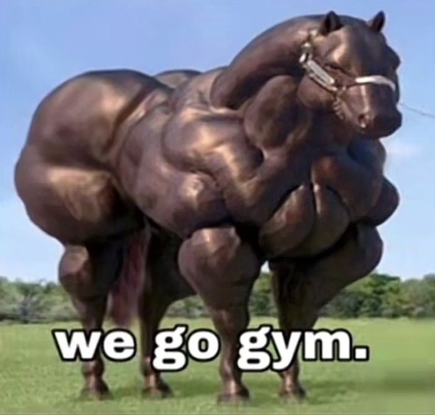 Absurdly muscular bronze horse: 'we go gym.'