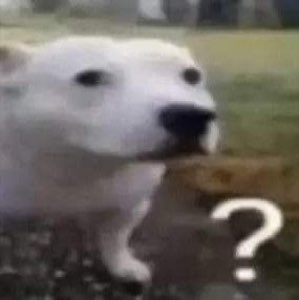 Blurry white dog mid-turn looking baffled next to a big question mark