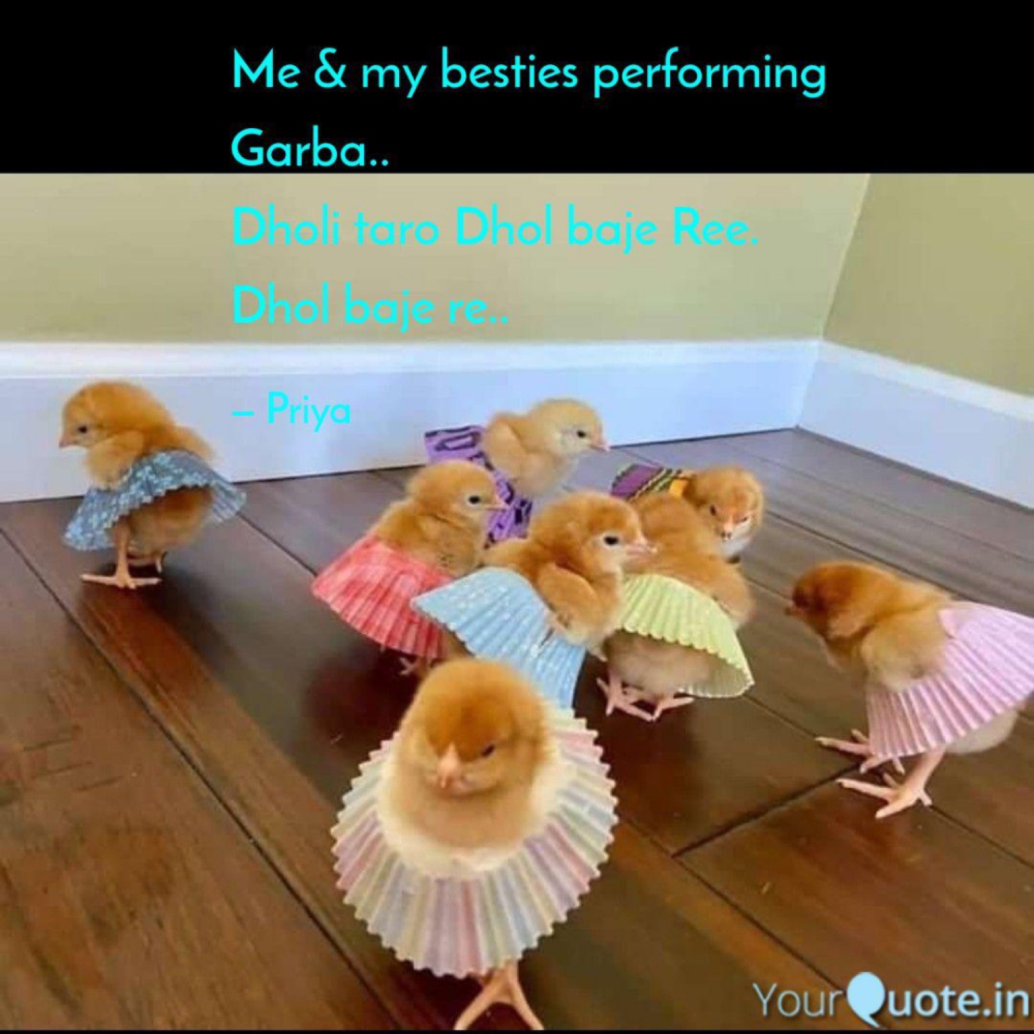 Baby chicks in colorful tutus: 'Me & my besties performing Garba..'