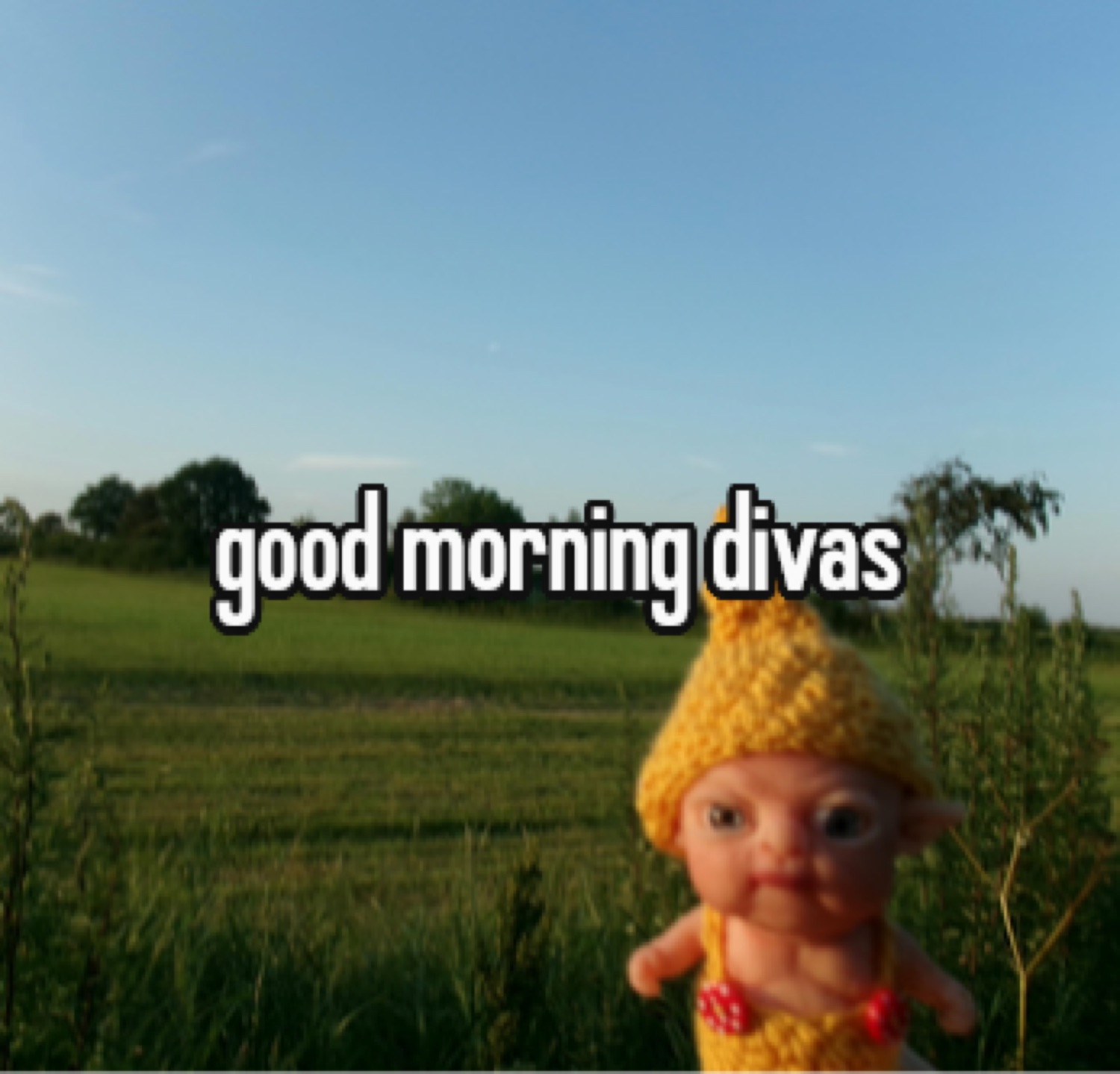 Creepy doll in a crochet hat in a field: 'good morning divas'