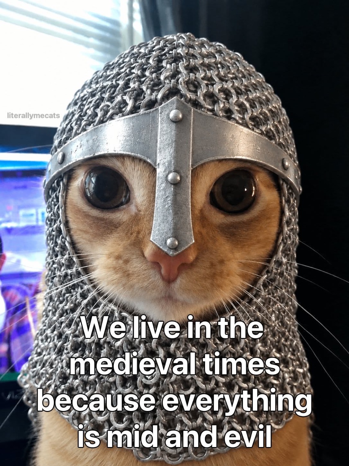 Cat in a chainmail helmet staring wide-eyed under 'We live in the medieval times because everything is mid and evil'
