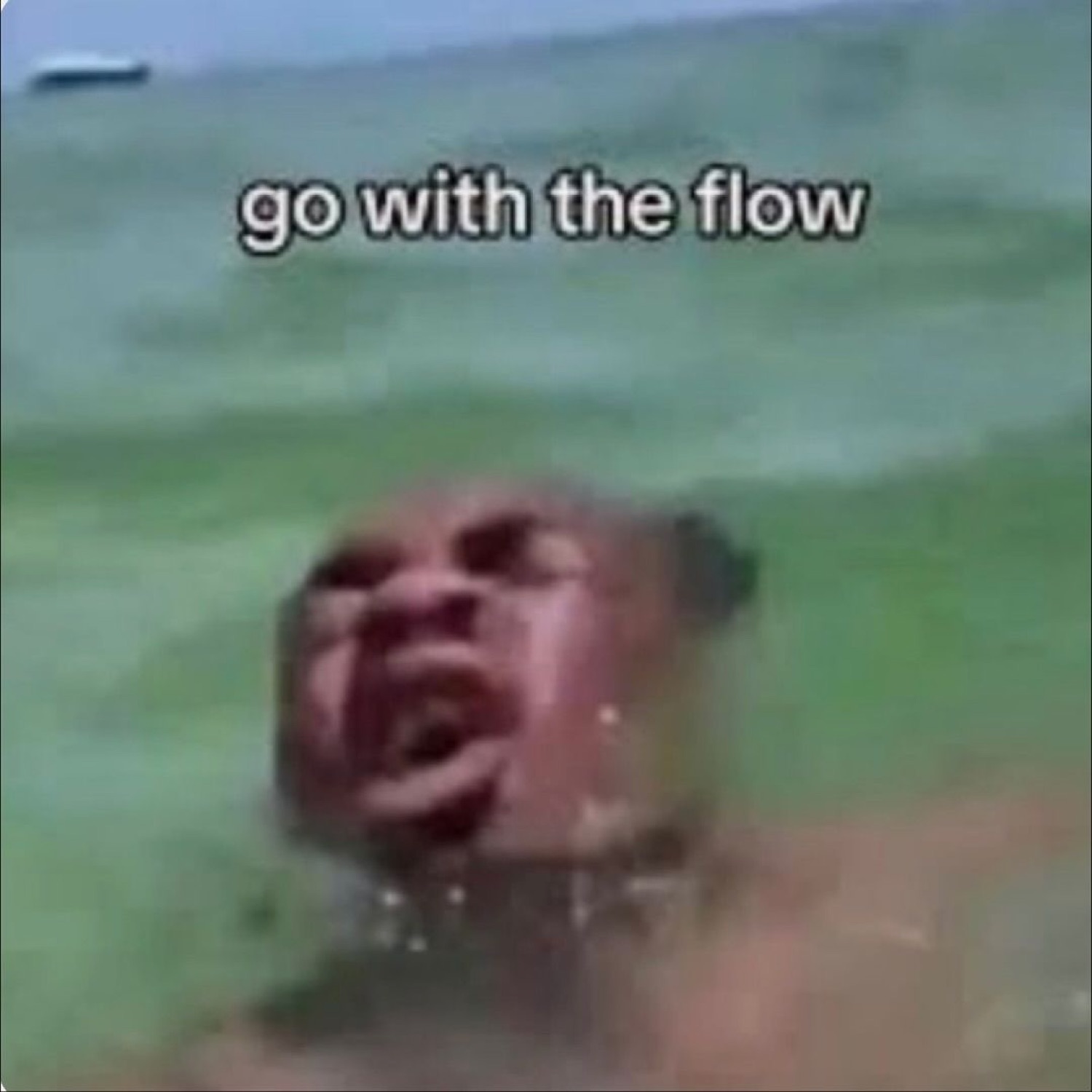 Person screaming while being swept along in water, captioned 'go with the flow'