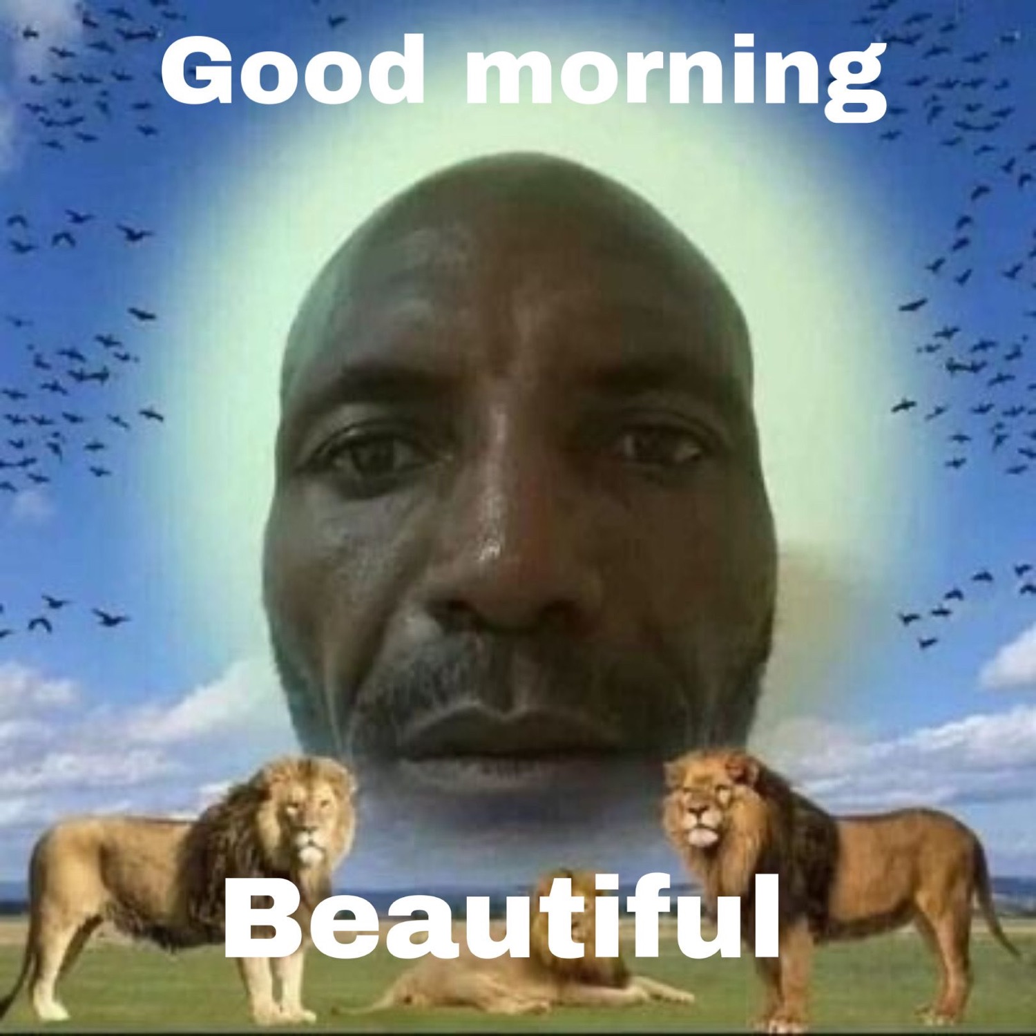 Man's face as a glowing sun over lions: 'Good morning / Beautiful'