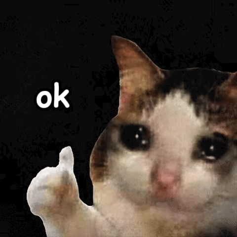 Teary-eyed cat giving a thumbs up, "ok"