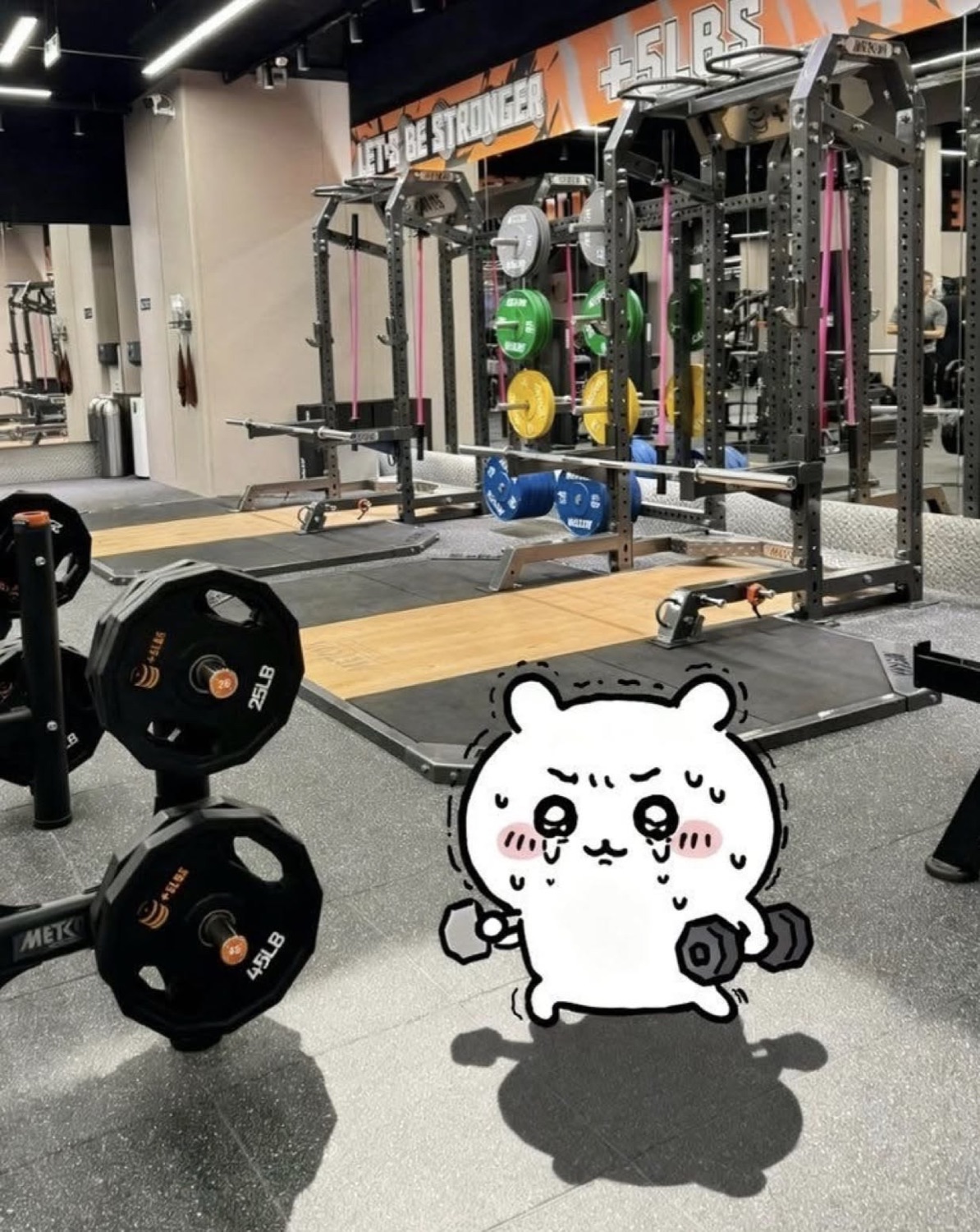 Sweaty little hamster mascot struggling with dumbbells in a gym
