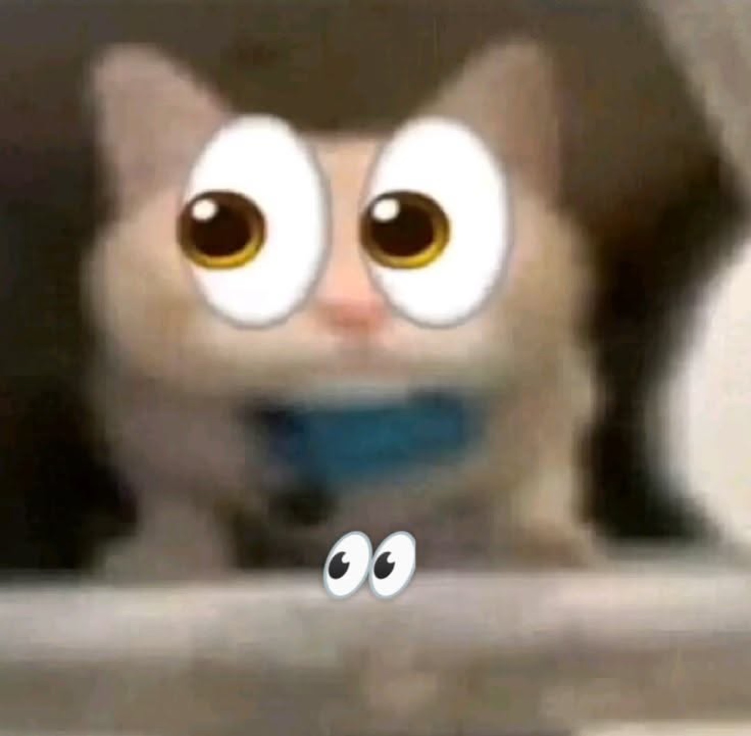 Fluffy cat with cartoon googly eyes wearing an awkward, nervous half-smile