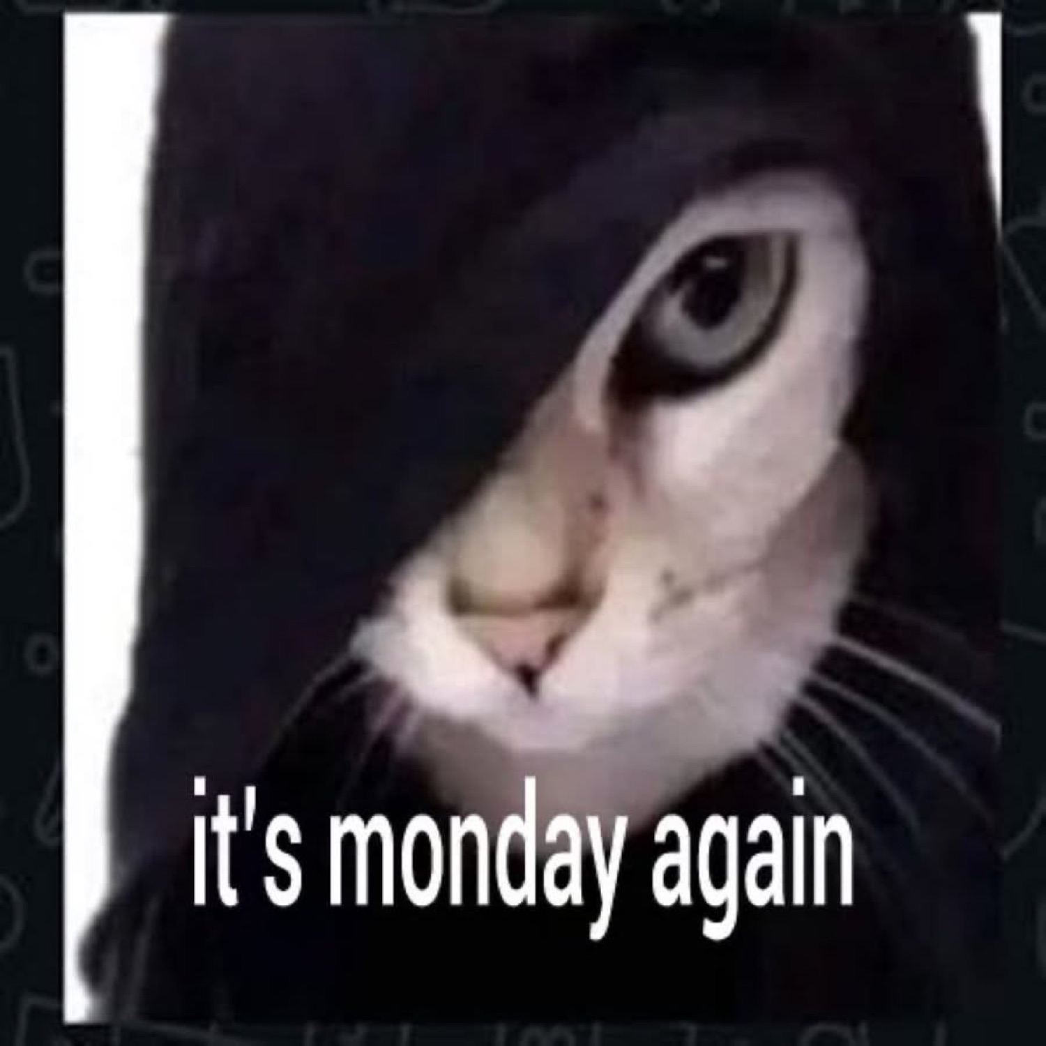 Cat peeking out from under a black hood with one eye under 'it's monday again'