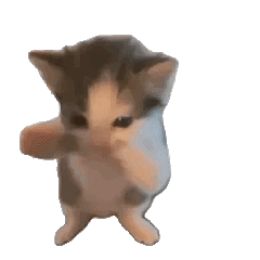 Kitten standing on its hind legs swaying side to side