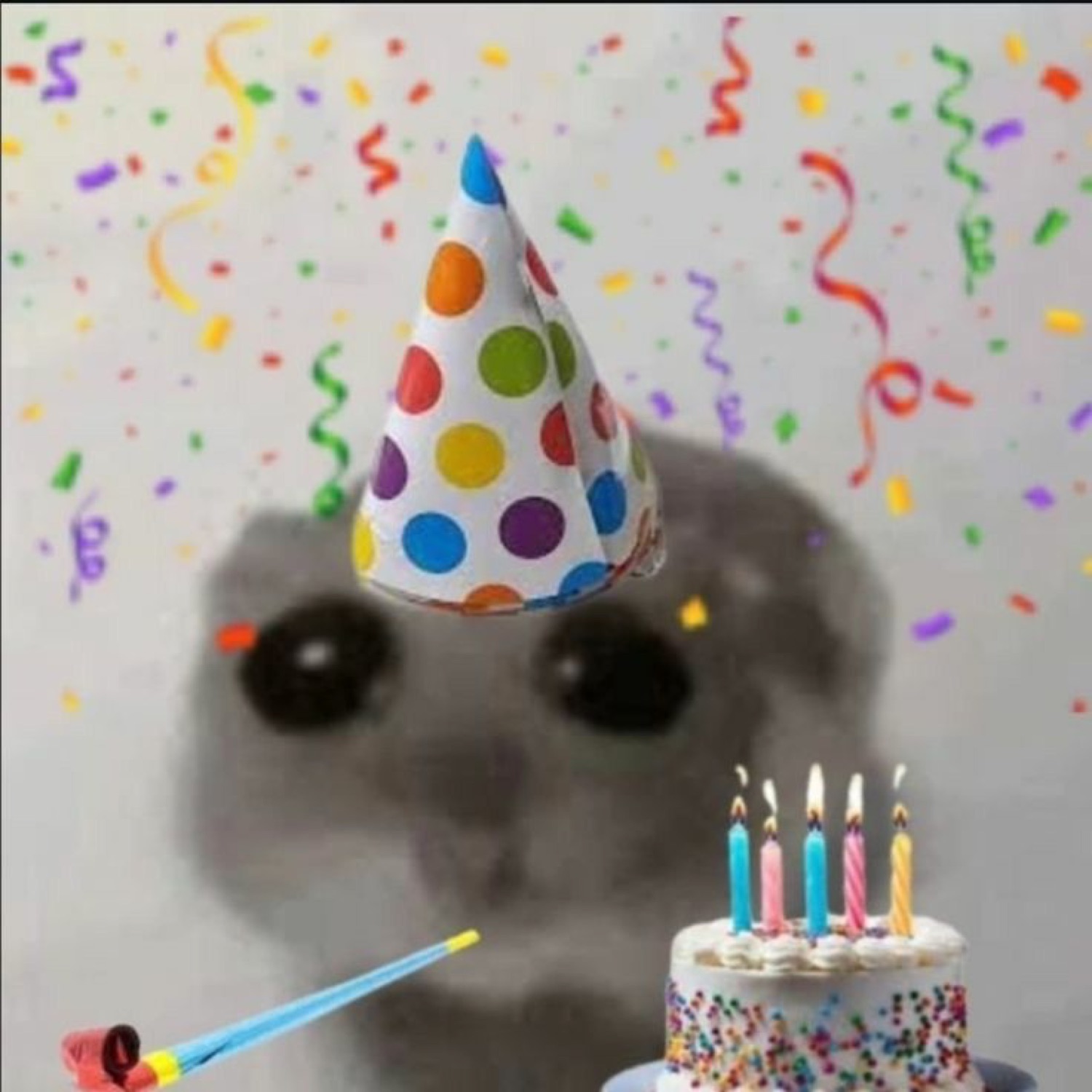 Hamster in a polka-dot party hat with confetti and a birthday cake