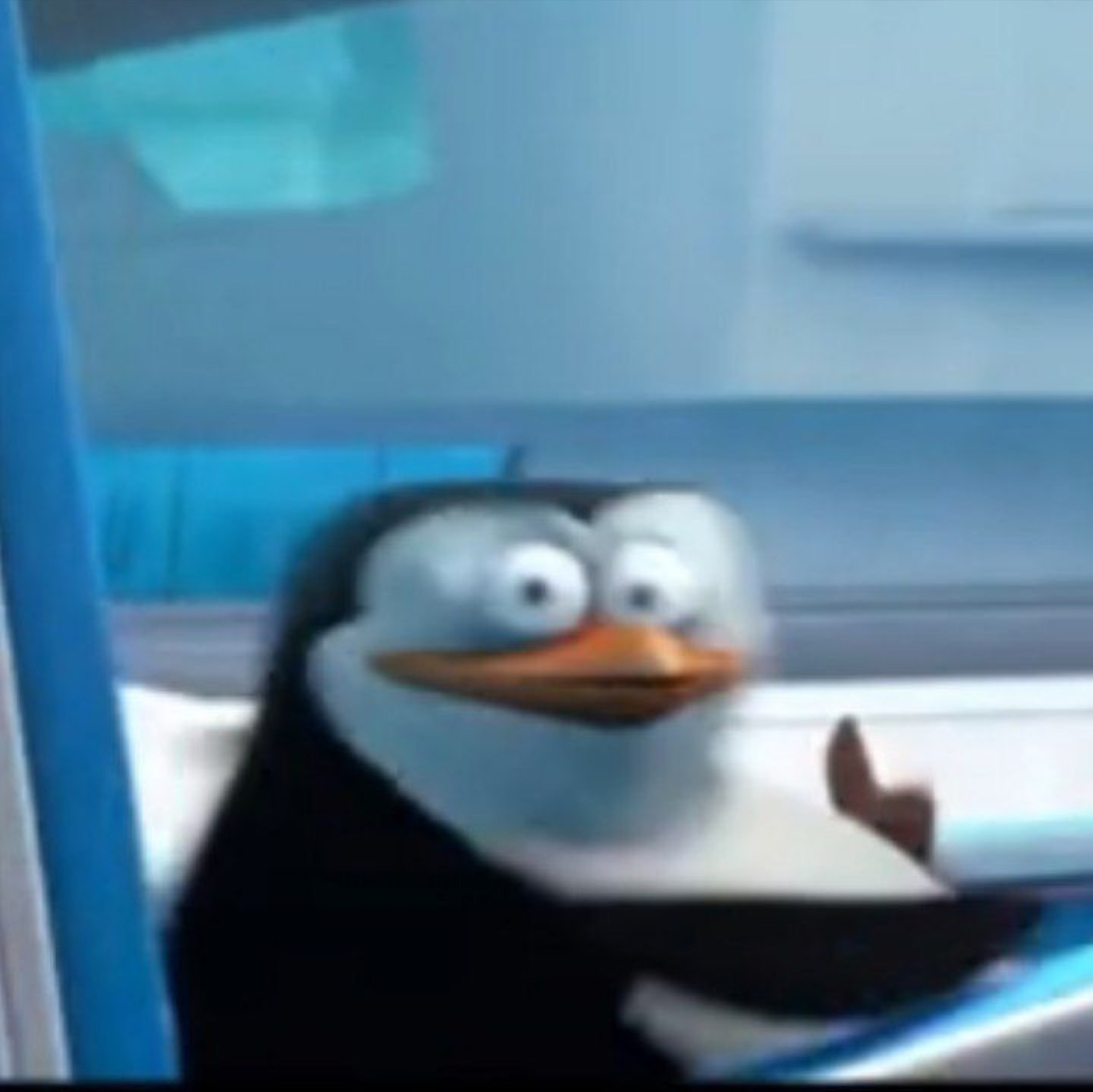 Skipper from Madagascar side-eyeing you with maximum suspicion and a raised flipper
