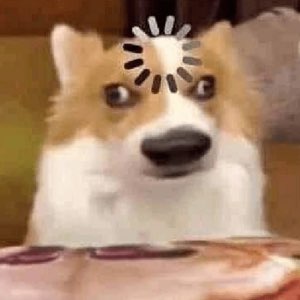 Corgi with a loading spinner over its head, brain visibly buffering