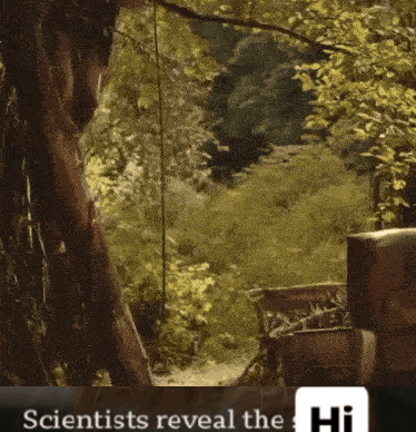 Woman walking through a forest, "Scientists reveal the Hi"