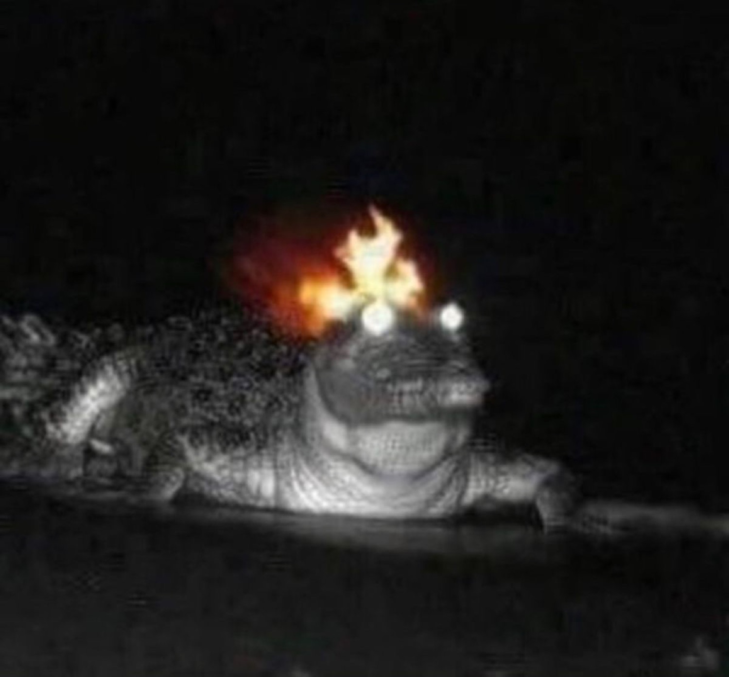 Alligator in the dark with flaming glowing eyes, pure menace