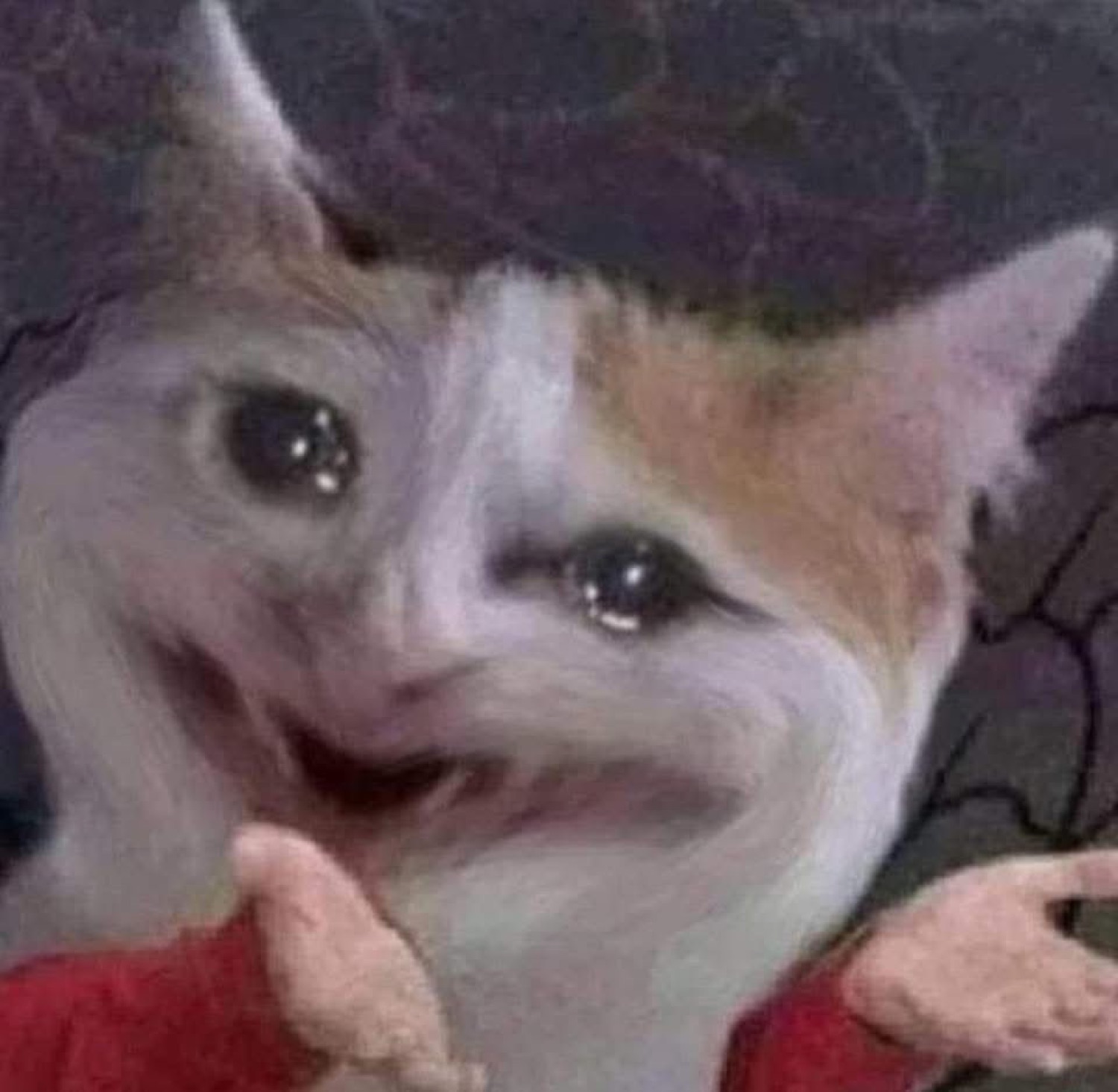 Crying cat meme with human-like face and raised hands, fully in distress