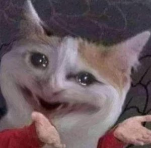 Crying cat meme with human-like face and raised hands, fully in distress