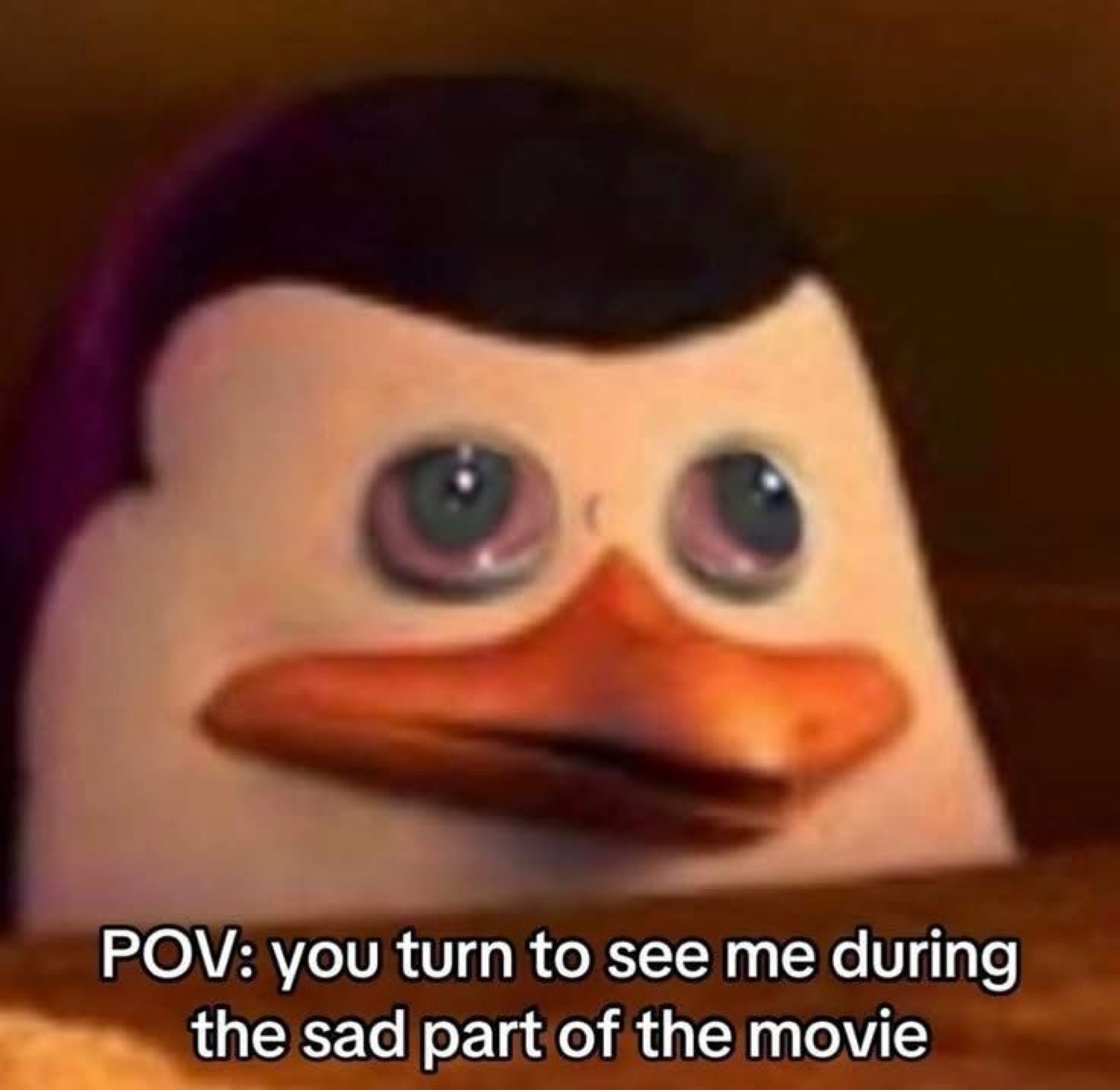 Skipper from Penguins of Madagascar with watery eyes and text about being caught crying at movies