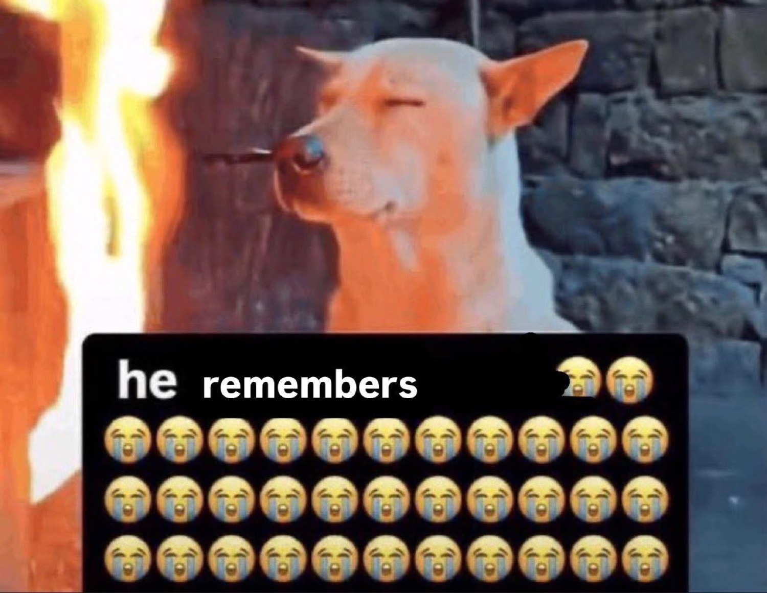 Dog gazing at a fire with eyes shut, captioned 'he remembers' under a wall of sob emojis