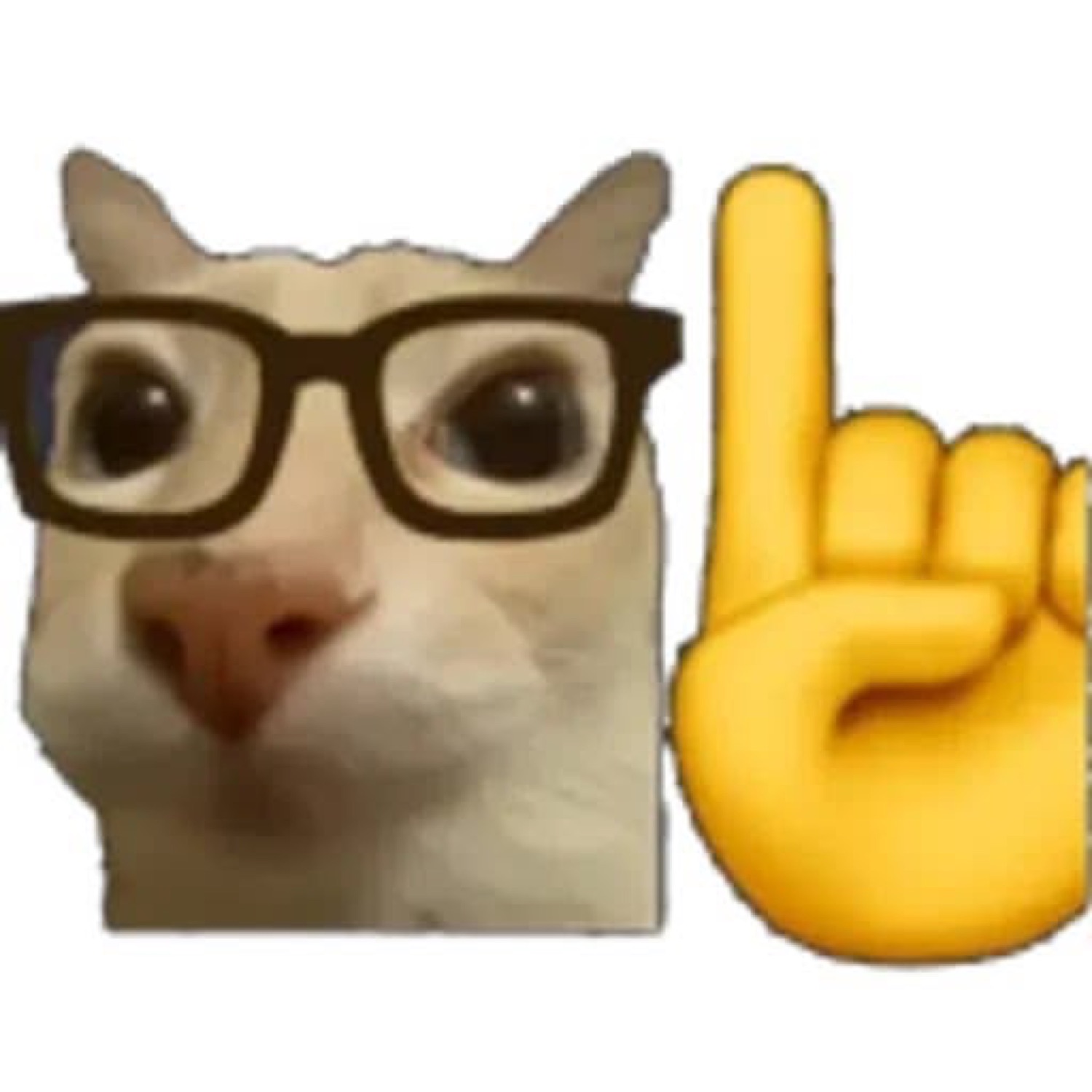 Cat in glasses with an 'actually' finger emoji