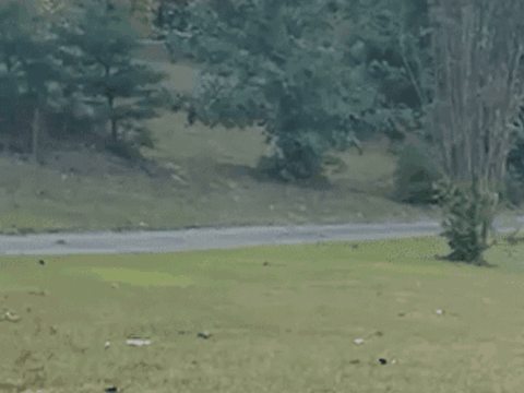 Man sprinting away across a park field