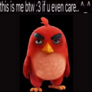 Angry Birds' Red standing scowling, captioned 'this is me btw :3 if u even care'
