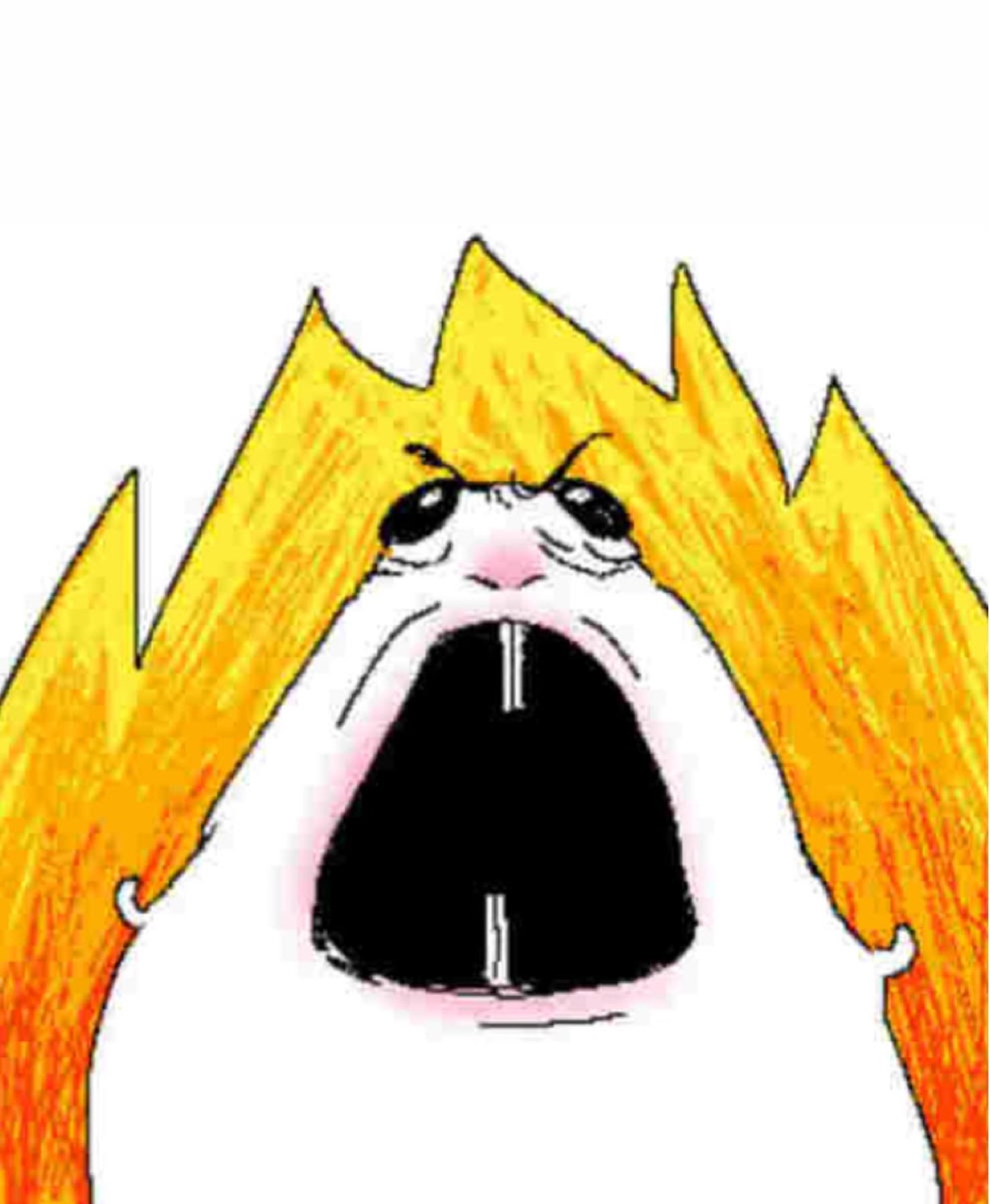 Cartoon guinea pig with flaming hair screaming in absolute rage