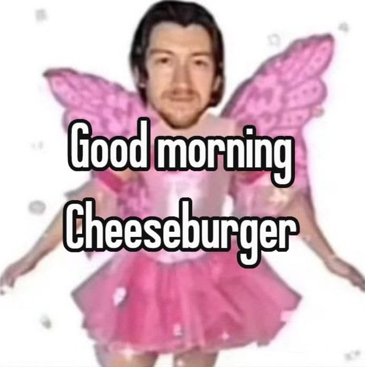 Alex Turner in a pink fairy costume: 'Good morning Cheeseburger'