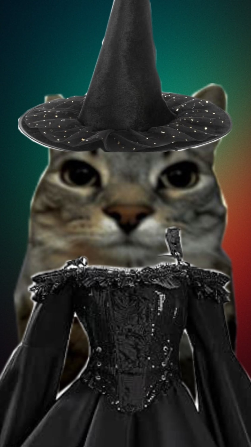 Tabby cat in a witch hat and black gown, staring
