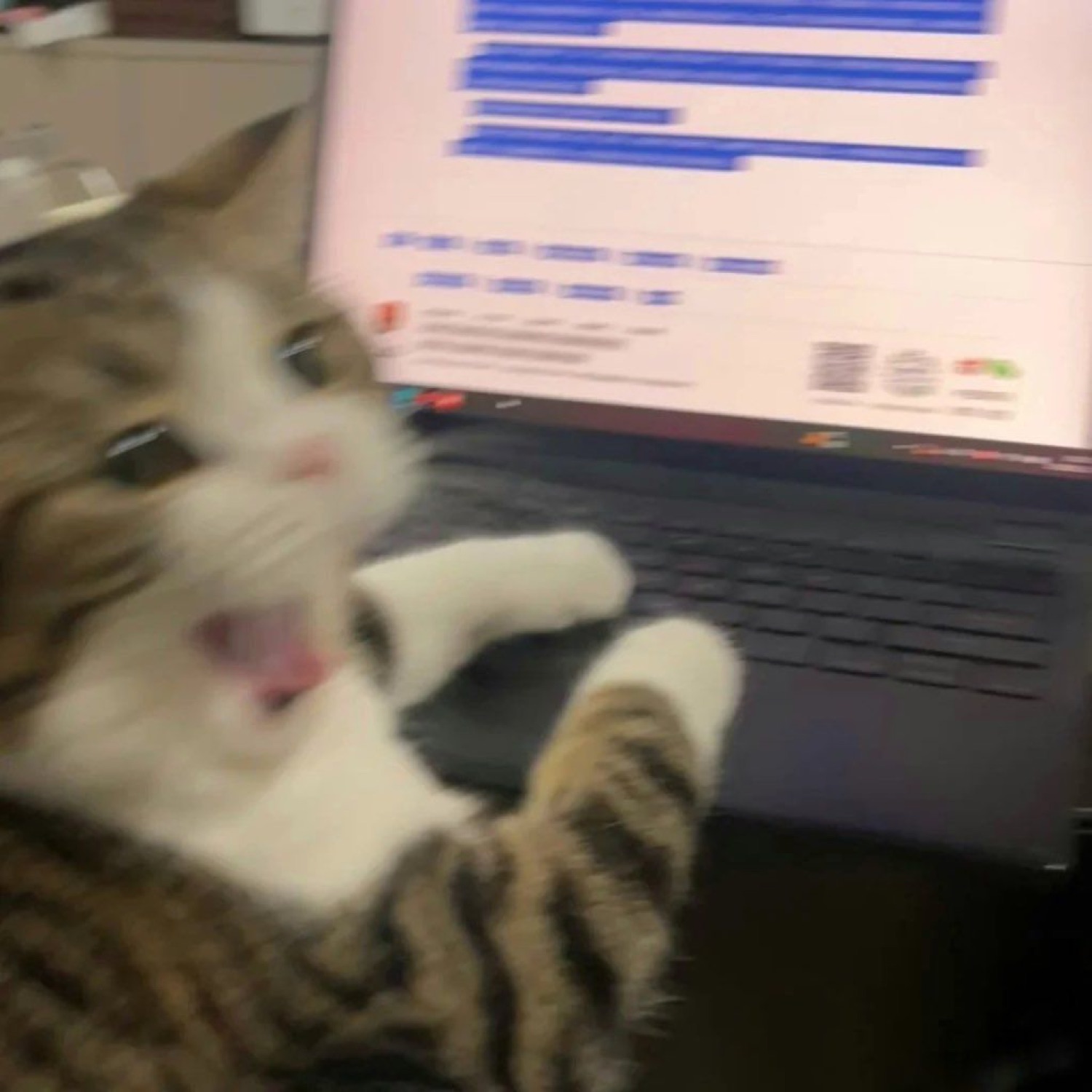 Tabby cat flopped on a laptop keyboard laughing with mouth wide open