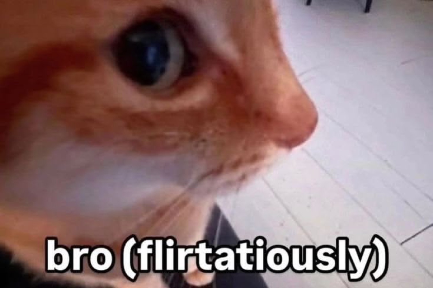 Close-up orange tabby cat with huge dilated eyes staring intensely, captioned 'bro (flirtatiously)'