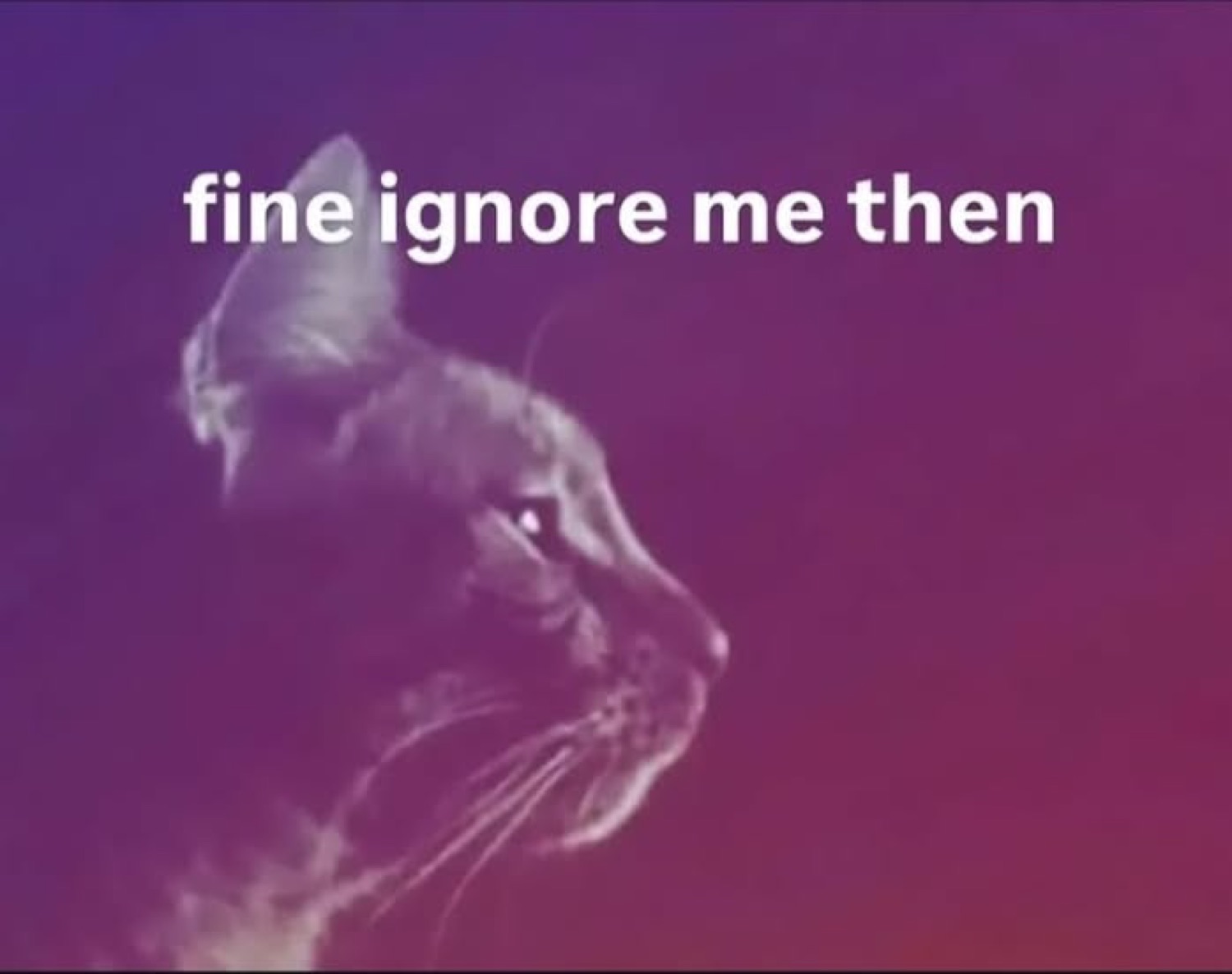 Brooding cat silhouette on purple gradient captioned 'fine ignore me then'