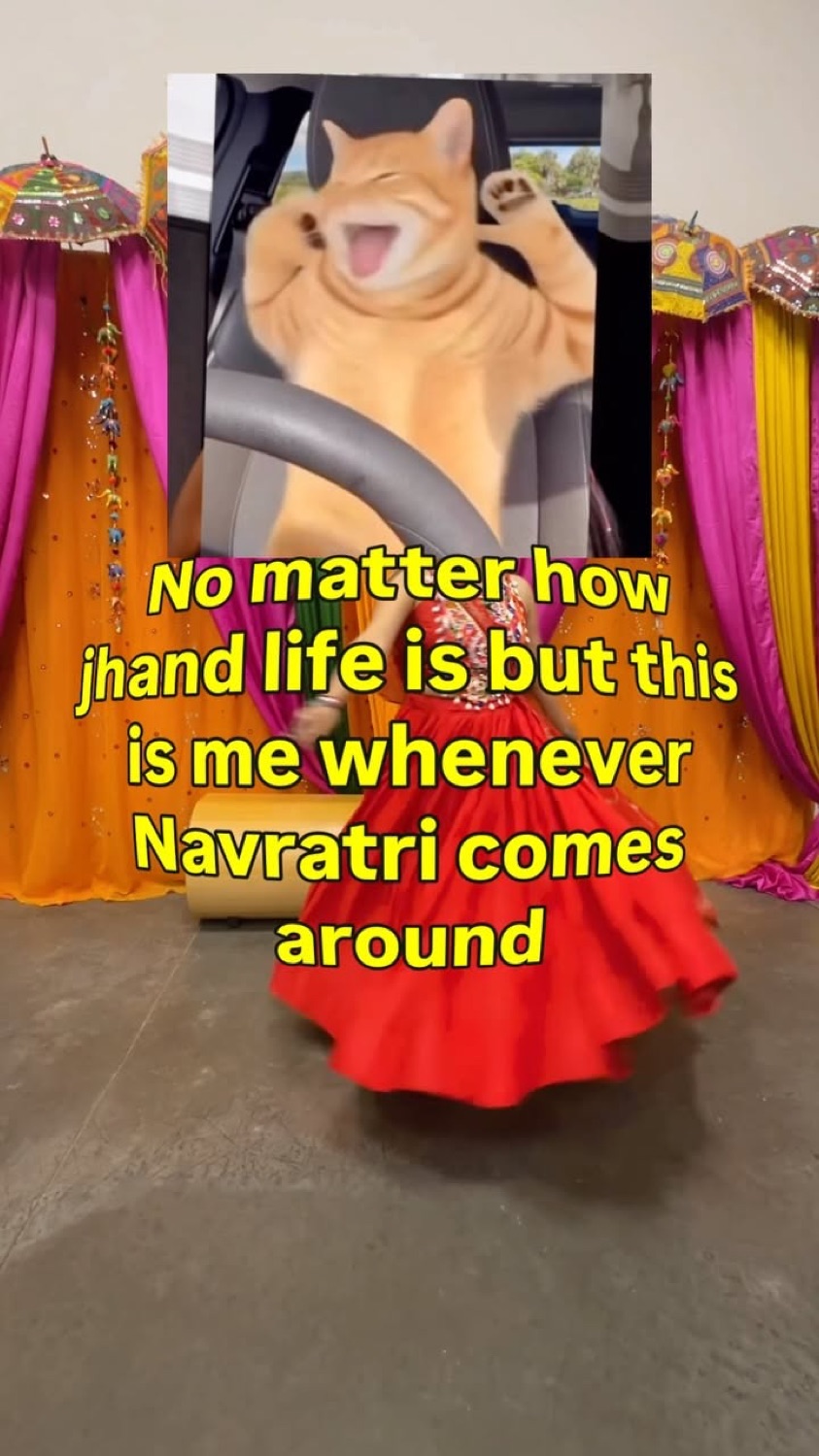 Cat yelling in a car: 'No matter how jhand life is but this is me whenever Navratri comes around'