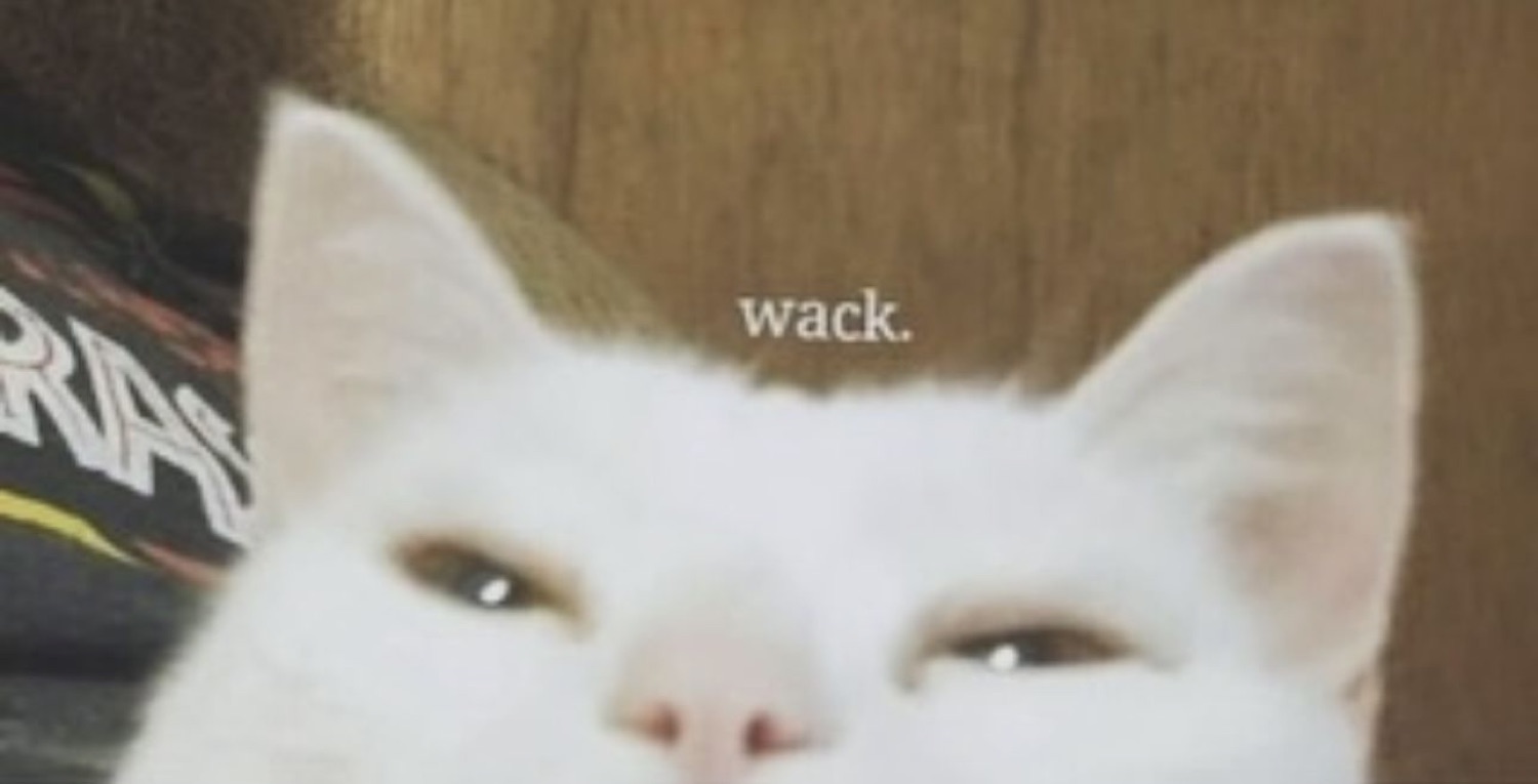 Close-up white cat with a squinting, unimpressed stare captioned 'wack.'