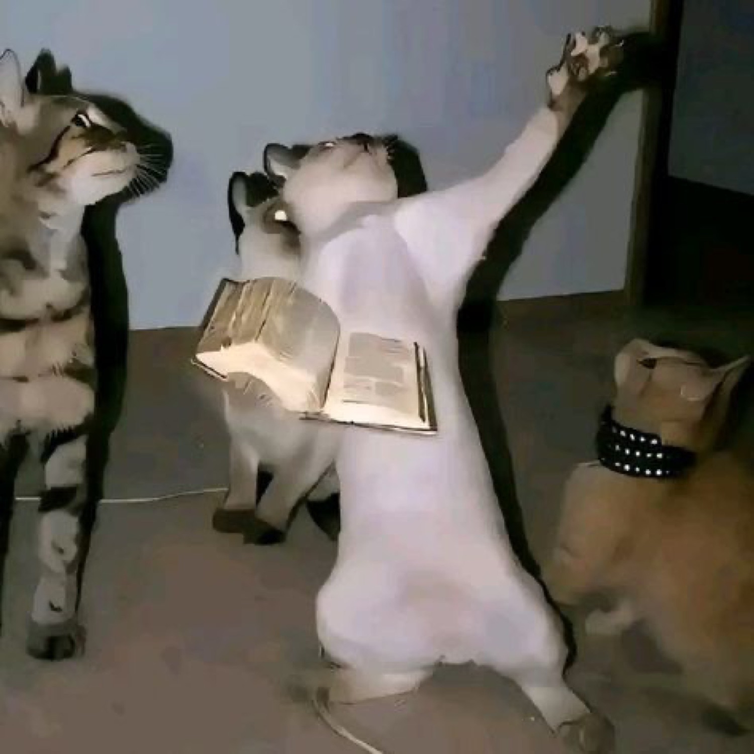 Three cats in a ritual scene - one reading a book, one raising a paw to the sky