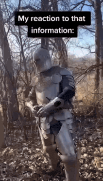 Knight in armor in the woods, "My reaction to that information"