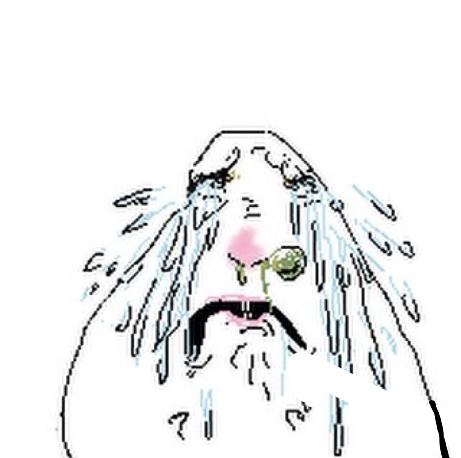 Crude line-drawing face bawling with streams of tears and a runny green nose