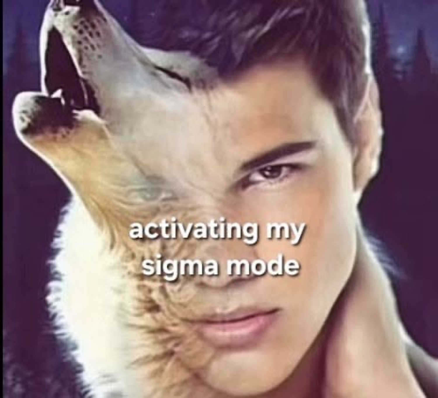 Man's face morphed with a howling wolf, captioned 'activating my sigma mode'