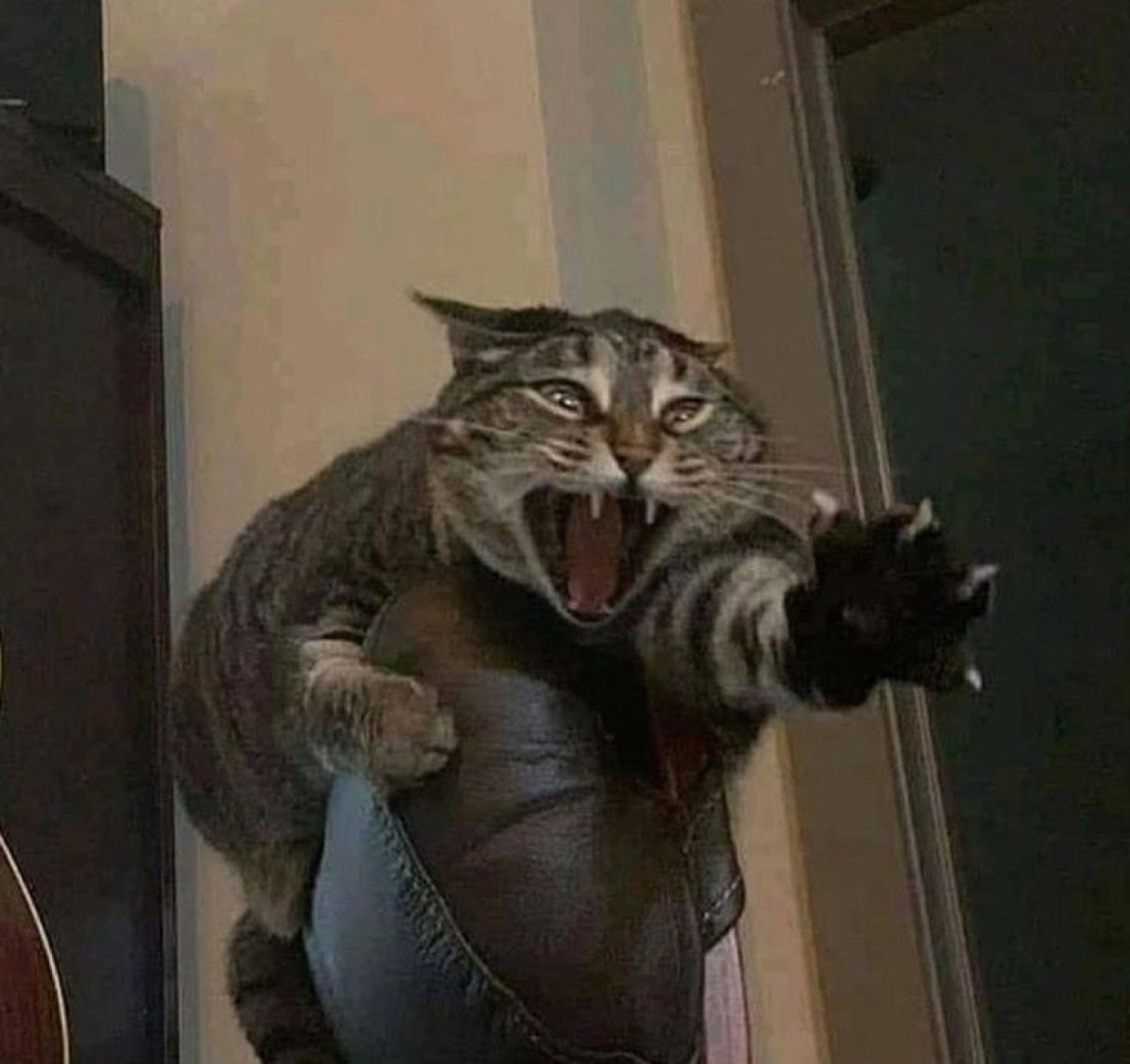Tabby cat lunging off a chair with its mouth wide open and a paw outstretched