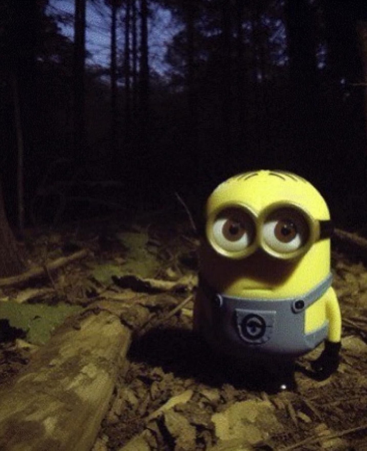 Wide-eyed Minion alone in a dark forest