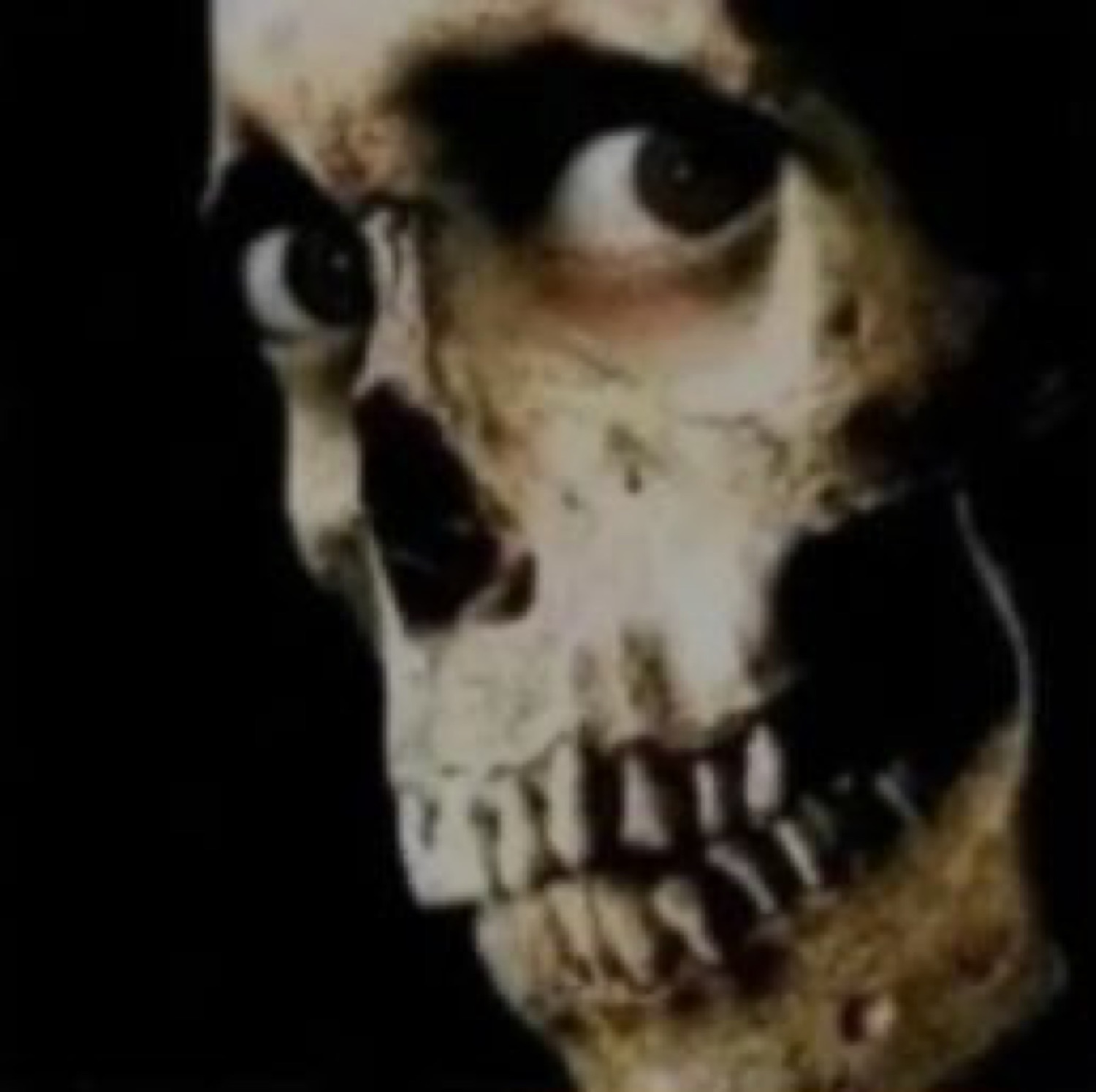 Dark close-up of a skull with human eyes glancing sideways