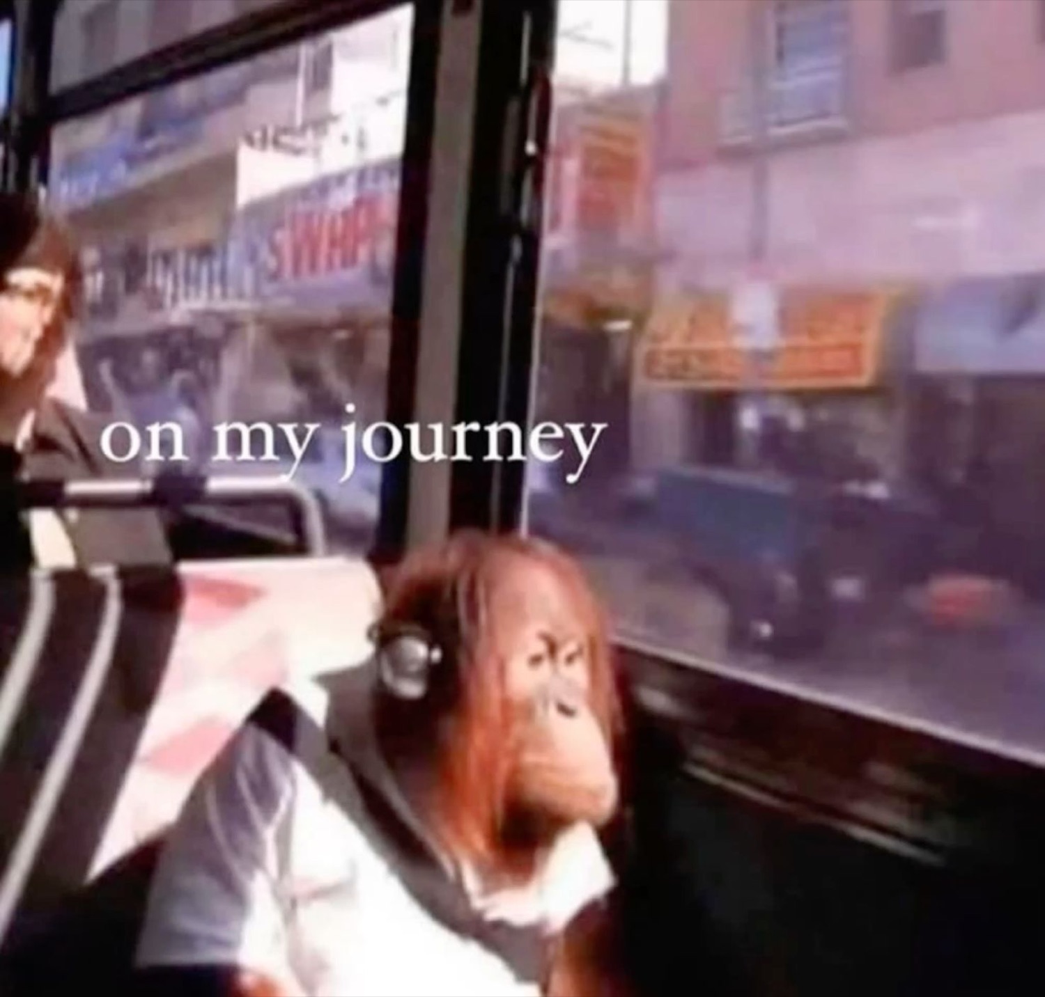 Orangutan in headphones on a bus: 'on my journey'