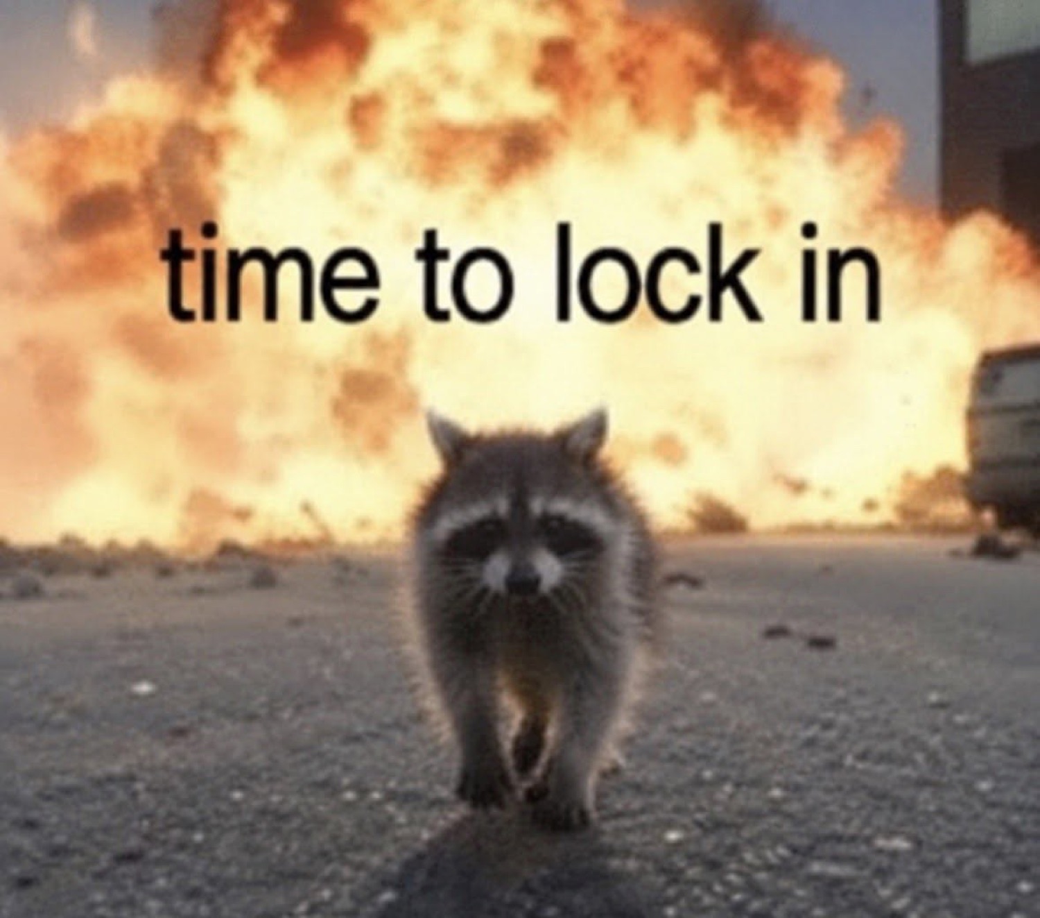 Raccoon walking away from a huge explosion under 'time to lock in'